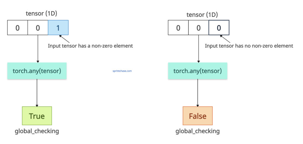 torch.any() function