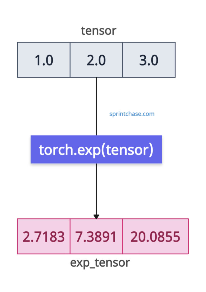 torch.exp() on 1D tensor