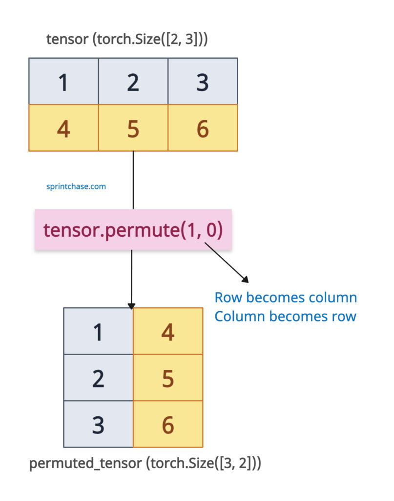 Basic Permutation with 2D Tensor using torch.permute() method