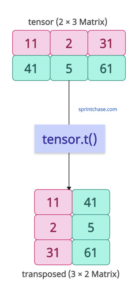 torch.t()