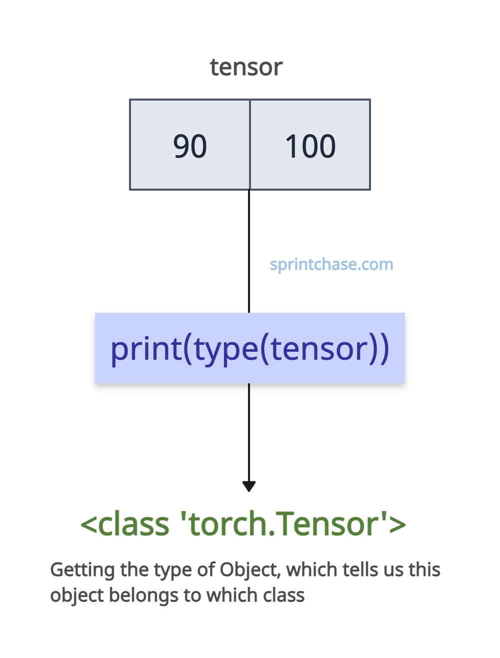 Fetching the type of object in PyTorch