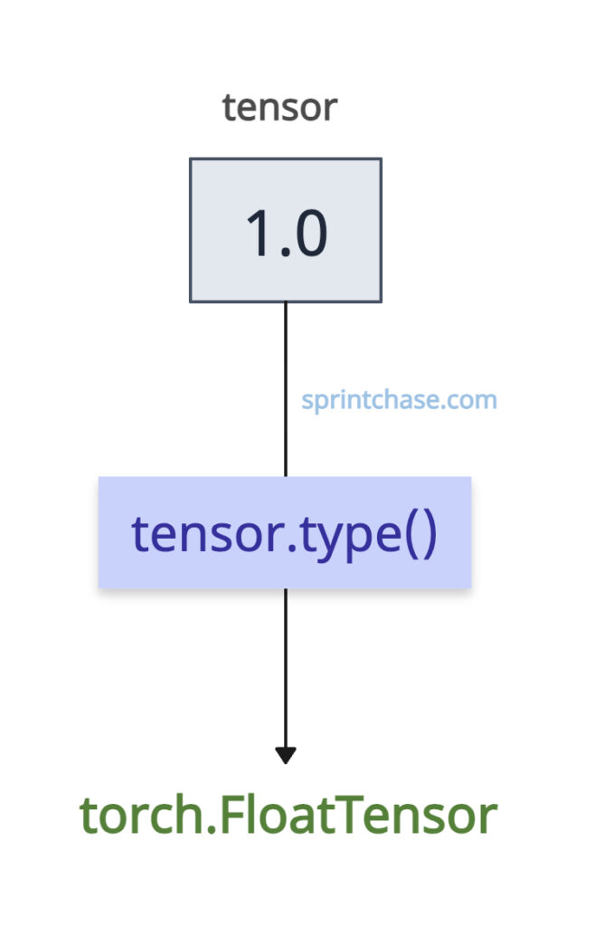 Getting the full type string