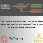 How to check for NaN values in PyTorch Tensor