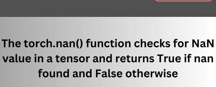How to check for NaN values in PyTorch Tensor