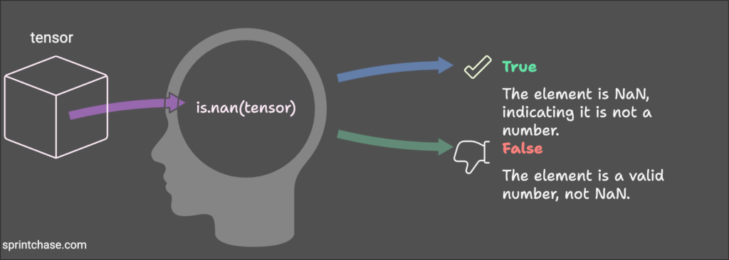 torch.isnan() function in PyTorch