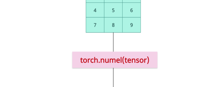 Counting Number of Elements in a PyTorch Tensor