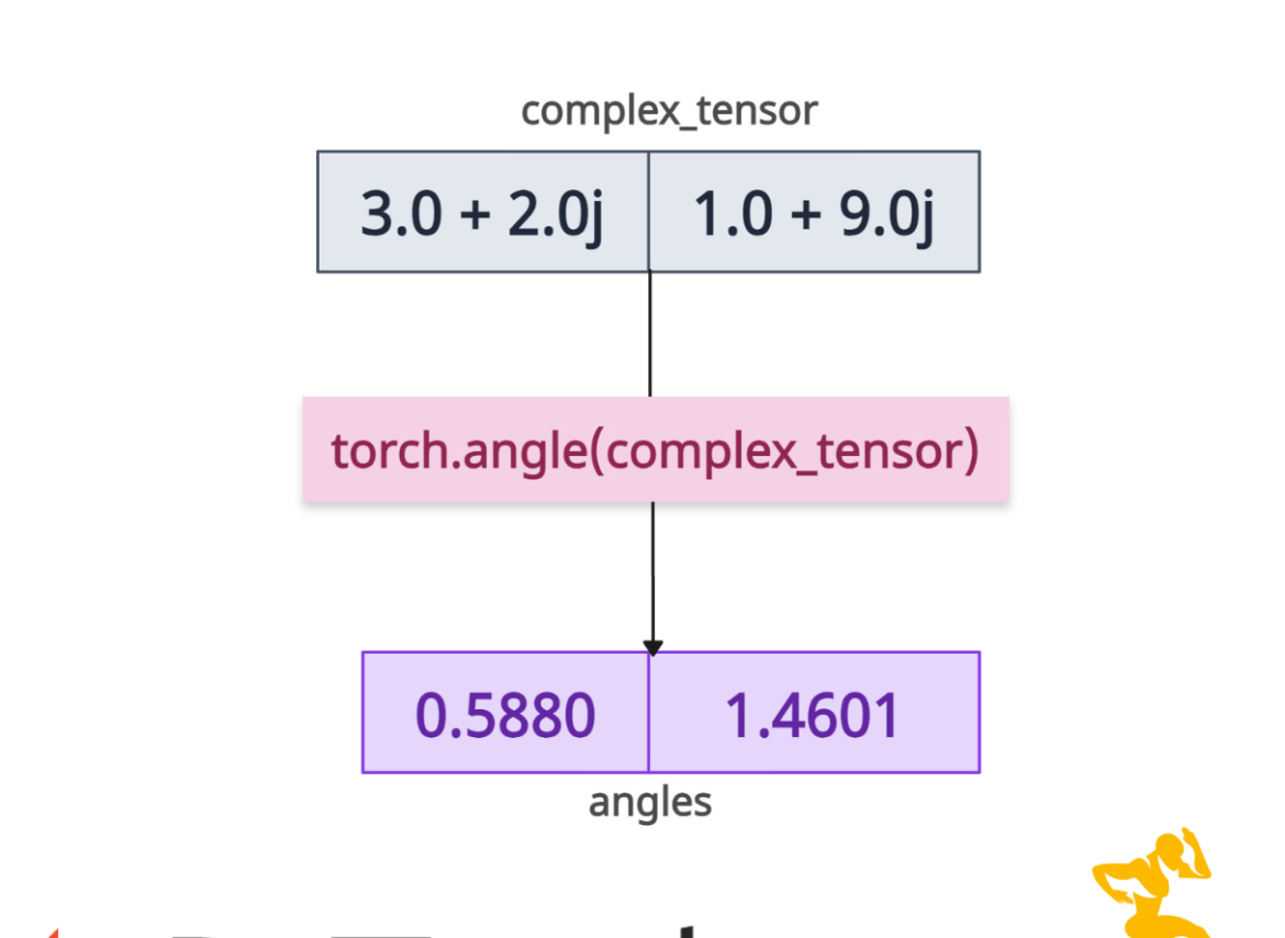 PyTorch torch.angle() Method