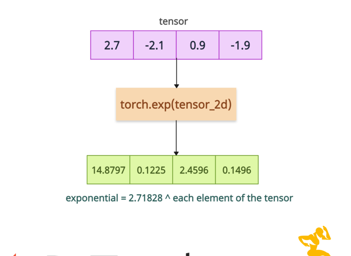 PyTorch torch.exp() Method