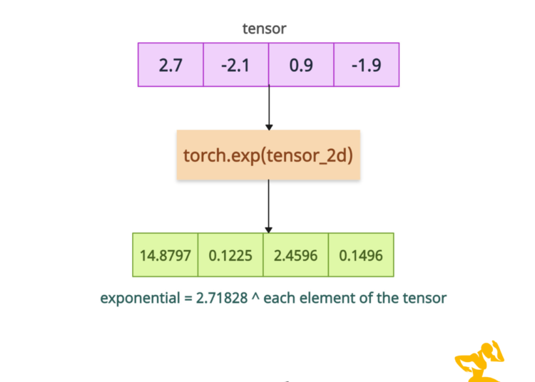 PyTorch torch.exp() Method