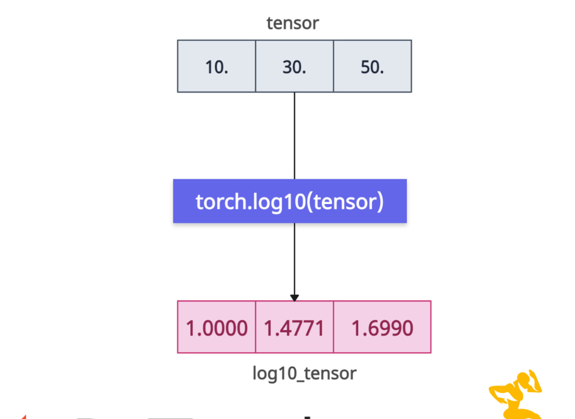 PyTorch torch.log10() Method