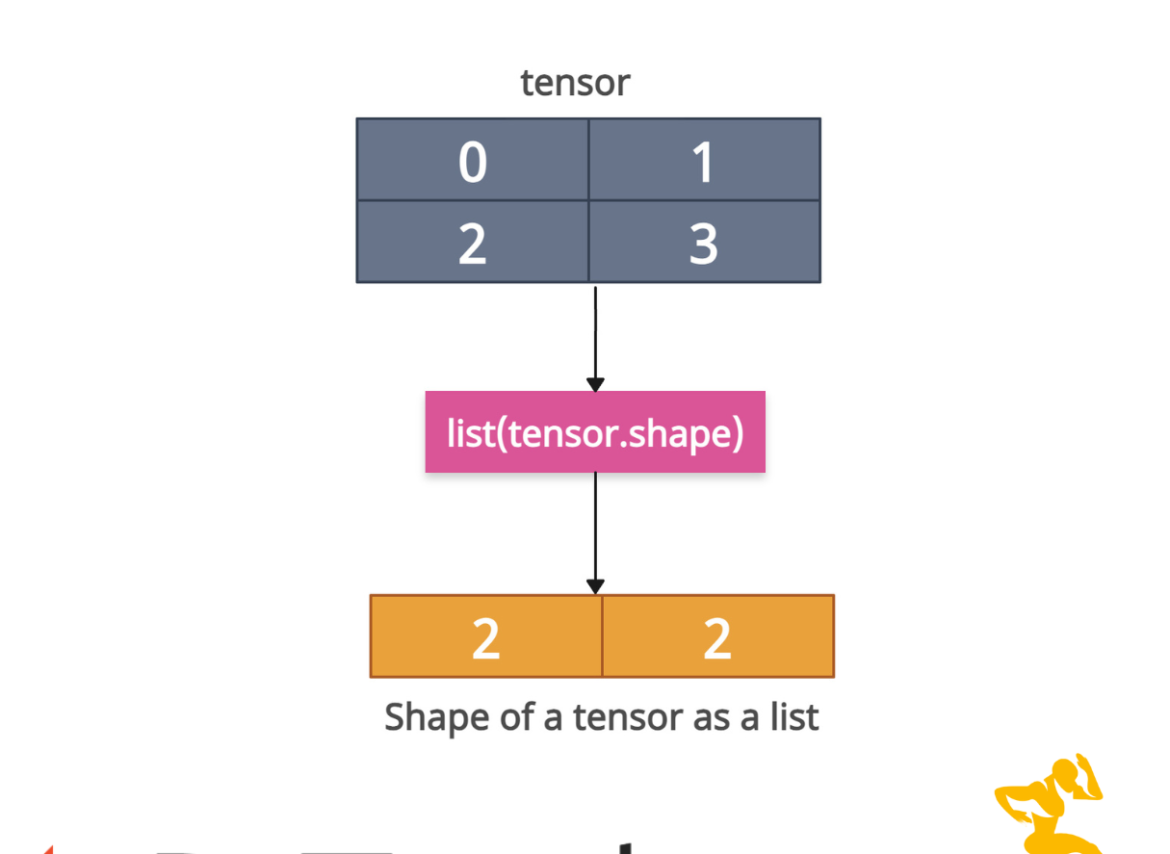 Shape of Tensor as a List in PyTorch