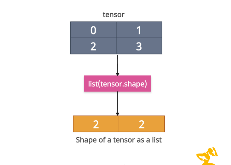 Shape of Tensor as a List in PyTorch