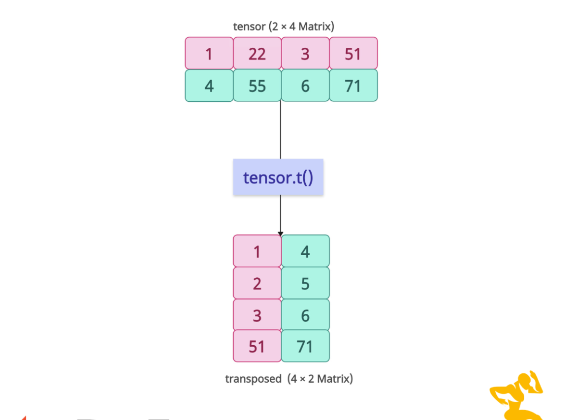 torch.t() Method in PyTorch