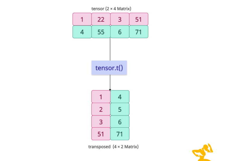 torch.t() Method in PyTorch